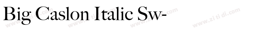 Big Caslon Italic Sw字体转换